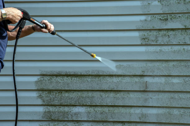 Best Exterior Home Cleaning  in Tazewell, TN