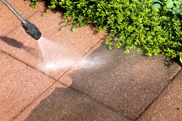 Best Roof Pressure Washing  in Tazewell, TN