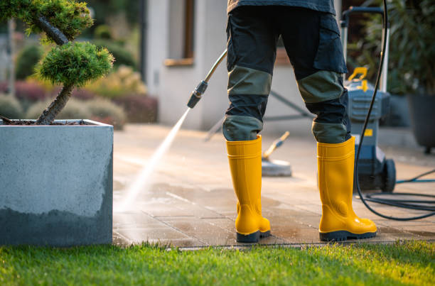 Best Roof Pressure Washing  in Tazewell, TN